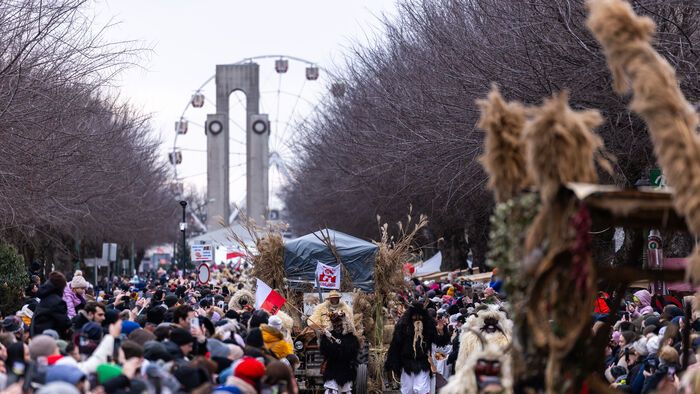 Mohácsi busójárás