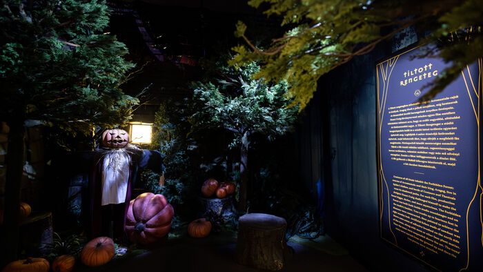 Harry Potter kiállítás