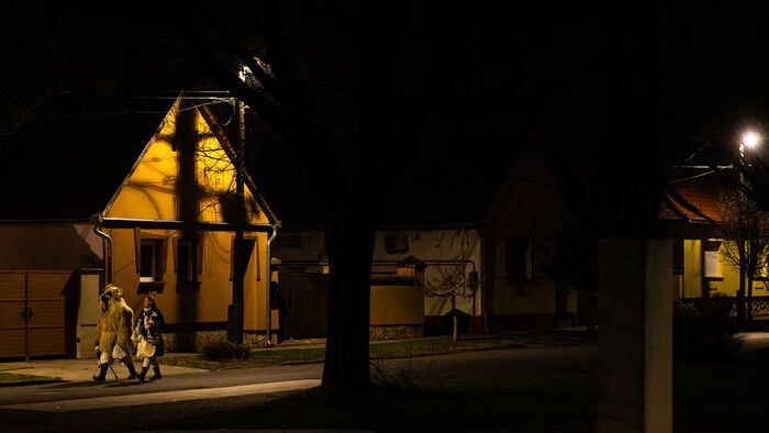 Mohácsi busójárás