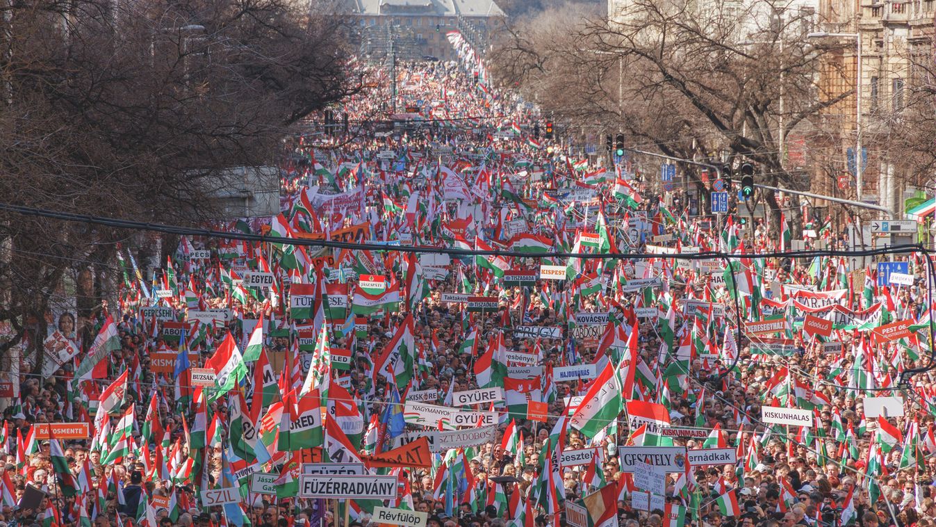 Cikk kép: undefined