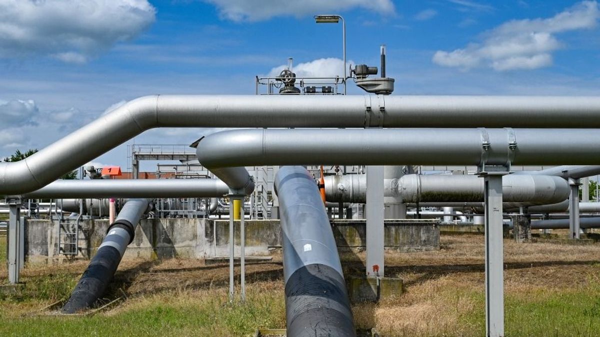 Bekeményít a MOL: a Slovnafttal együtt feljelentette az Adria olajvezetéket üzemeltető céget