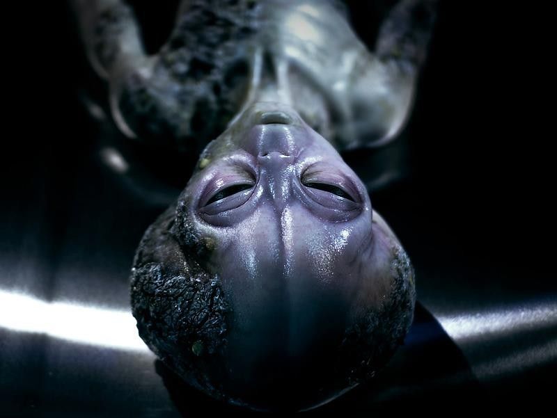 Idegenek: miért nem adnak jelt magukról a feltételezett földönkívüliek?