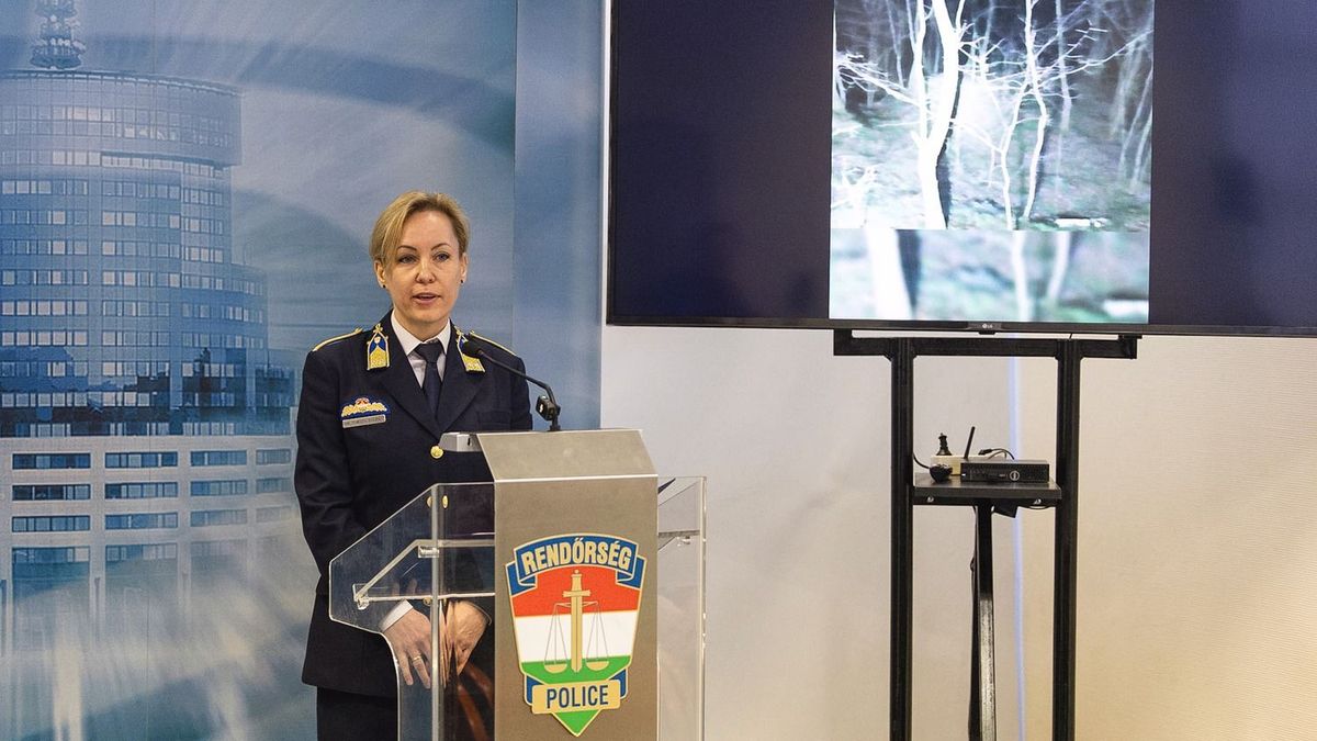 Megszólalt a rendőrség a 27 éve eltűnt Zitáról, különös kegyetlenséggel elkövetett emberölés miatt indítottak büntetőeljárást