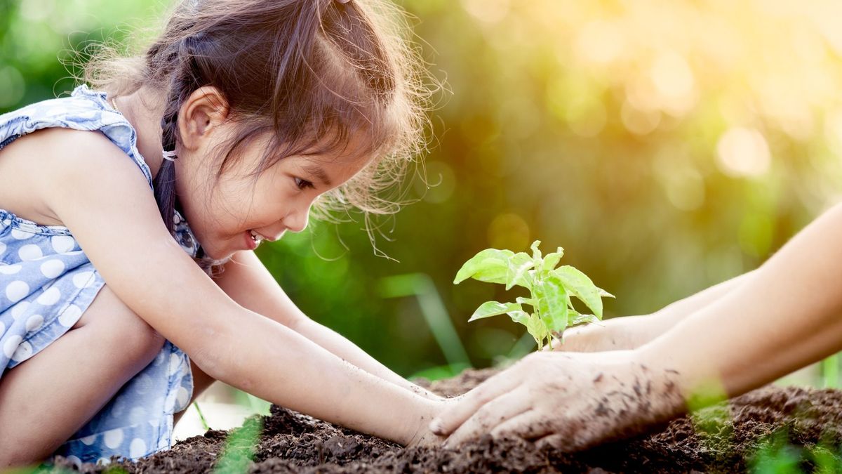 Az iskolakert-fejlesztési program a nevelés fontos része