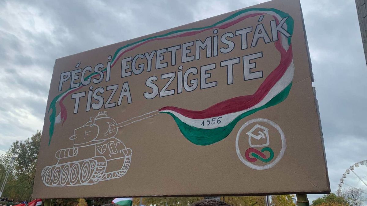 Döbbenetes viszonyok a Tiszában: előválasztási manipulációról, belső leszámolásról és szexuális zaklatásról ír a pécsi Tisza-sziget