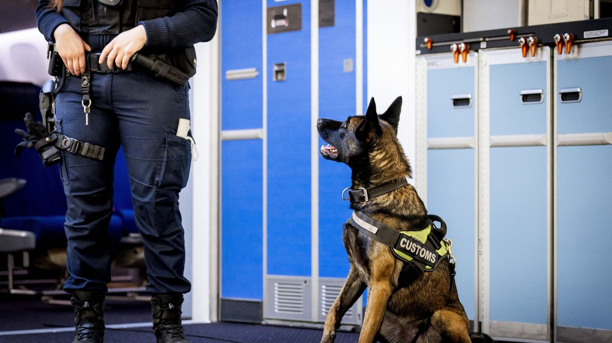 Belgium hamarosan narkóállammá válhat