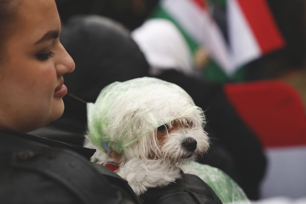 Orbán Viktor országjárása Pécel