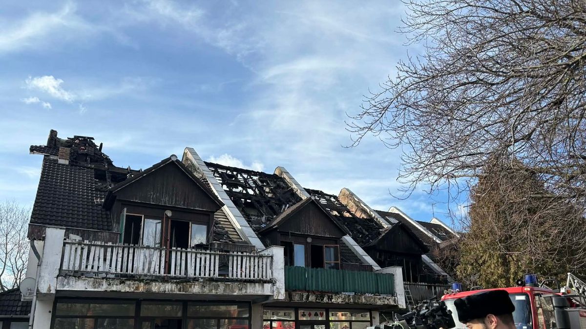 Zámbó Jimmy is sokat köszönhetett az életéért küzdő lemezlovasnak