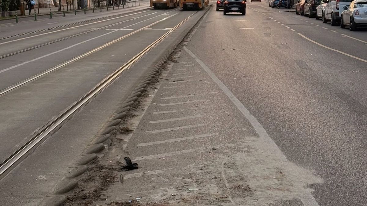 Véres homokot hagytak Karácsonyék a Bartók Béla úton