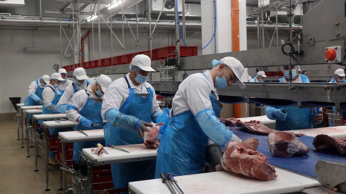 Stabil pályán a foglalkoztatás, továbbra is kedvező szinten a mutatók