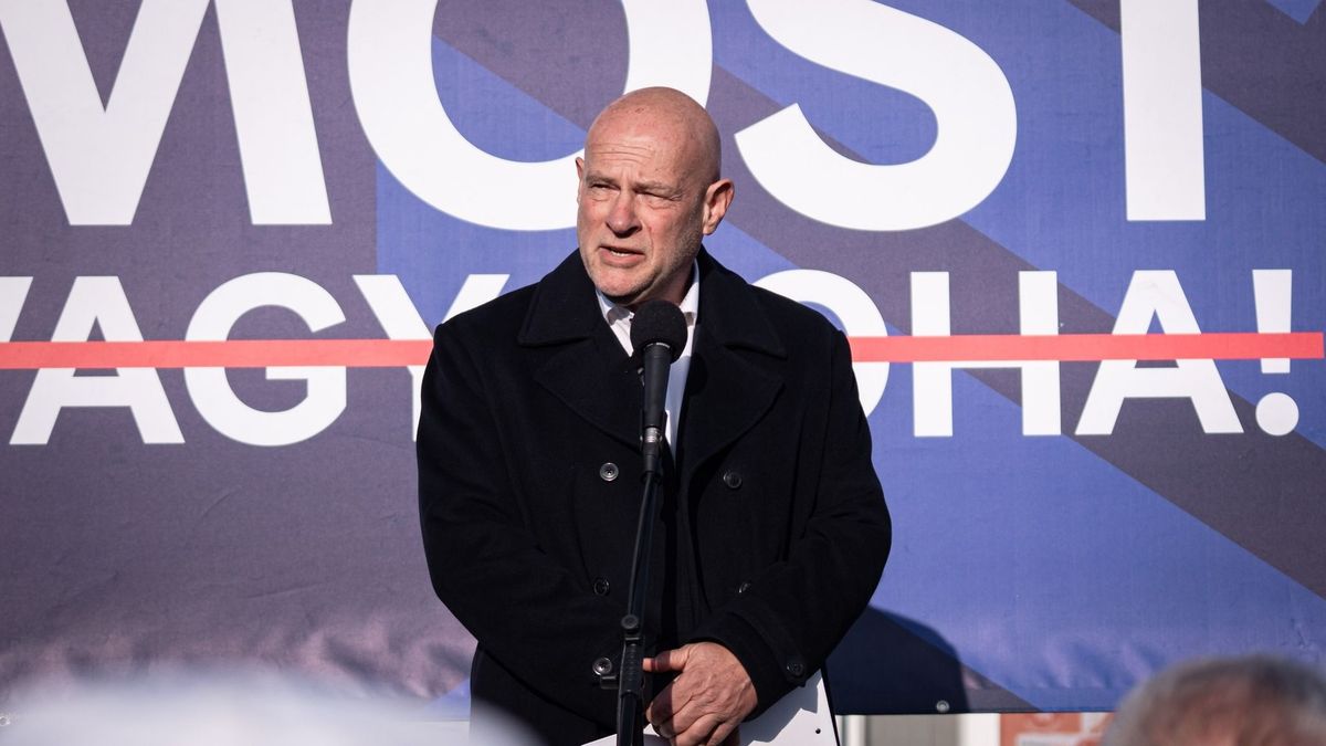 Magyar Péter bajba került, újabb képviselő-jelöltje szerepelt le, jónéhány érdekesség került elő a múltjából is