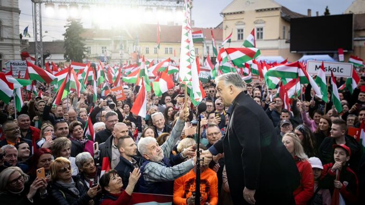 Right Gains Massive Momentum, Tisza Party Desperately Seeks Remedy