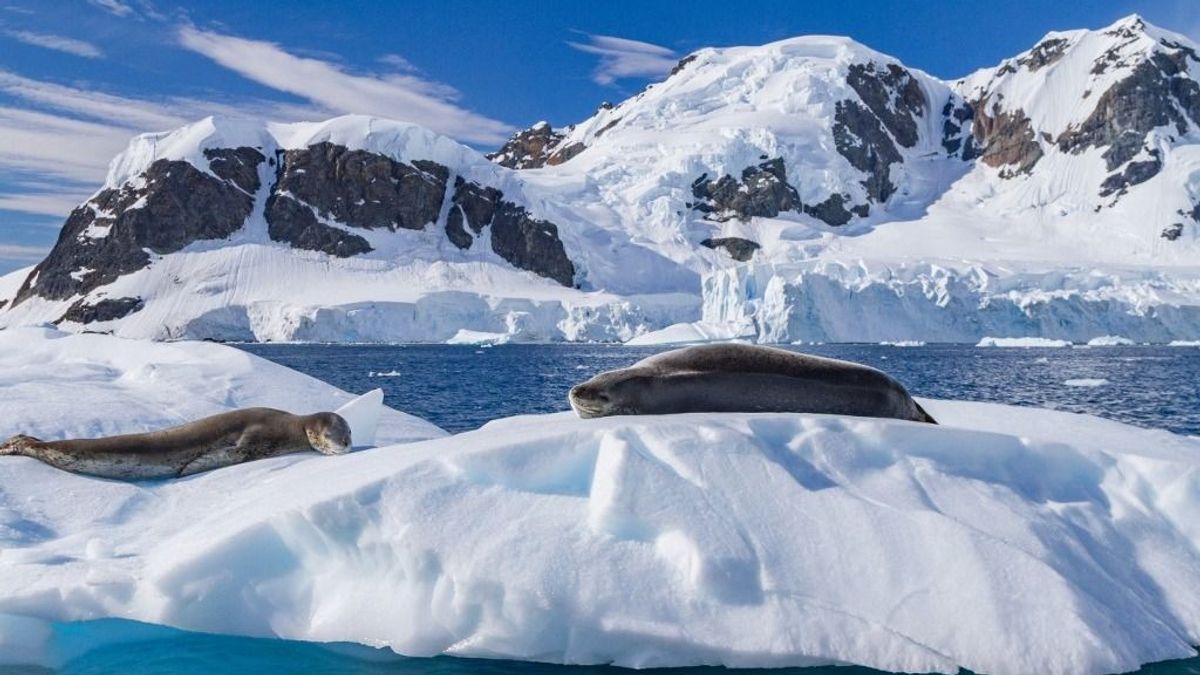 Riasztó adat: nagyon keveset hízott a télen az Északi-sarkvidék jégtakarója