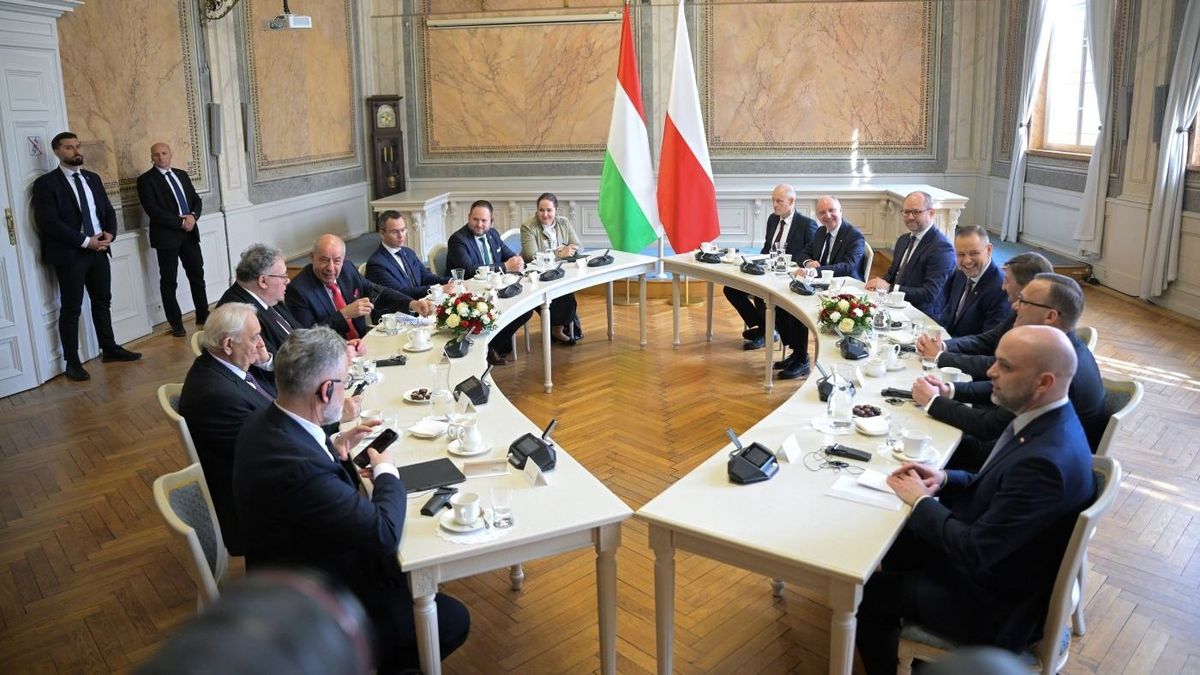 Sulyok Tamás Karol Nawrocki elnökkel közösen erősítette meg a két ország közötti történelmi kapcsolat jelentőségét