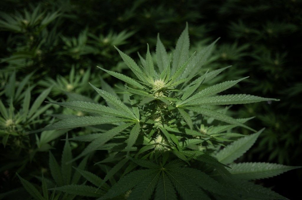 A svájci hatóságok három férfit, köztük egy német állampolgárt őrizetbe vettek (Illusztráció, forrás: AFP)