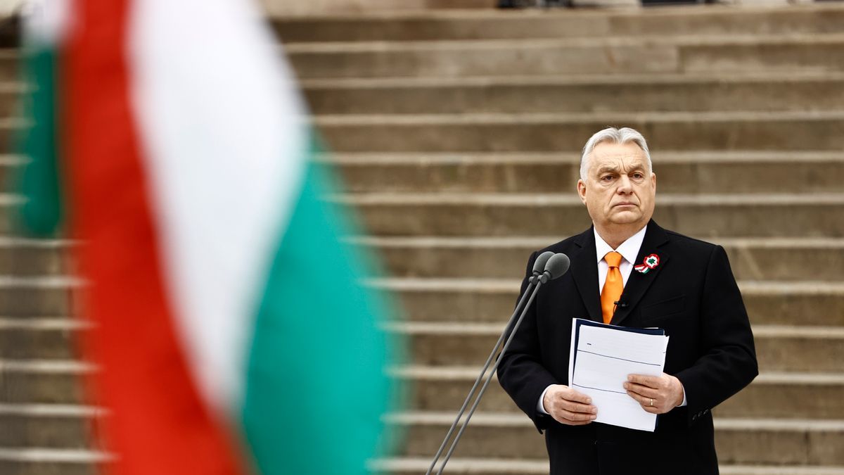 „Avagy virág vagy te, hazám ifjúsága?”