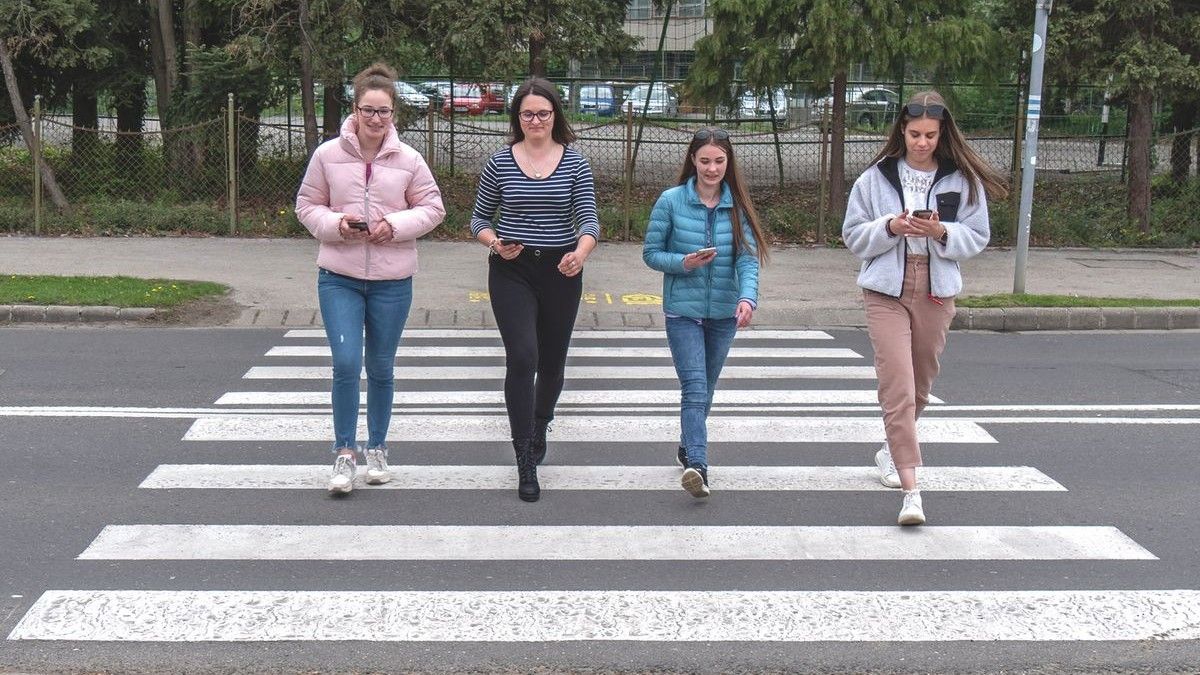 Nagy változást készítenek elő a magyar zebrák új felfestései