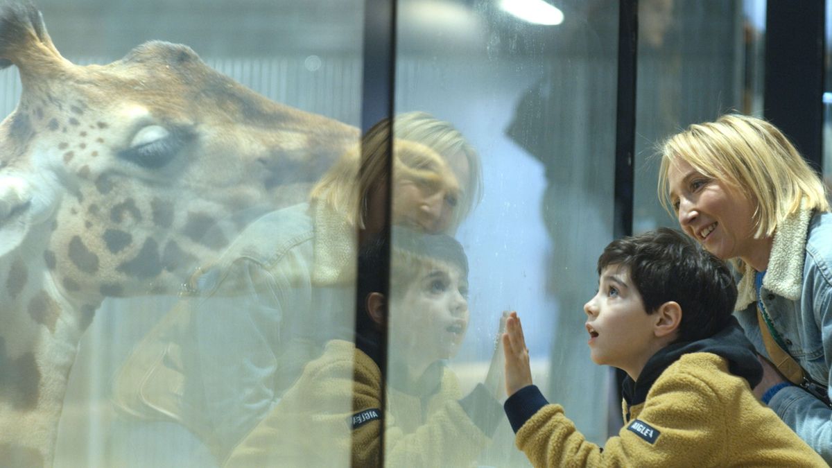 A családi sebek mélyére visz az Anya szeme fénye