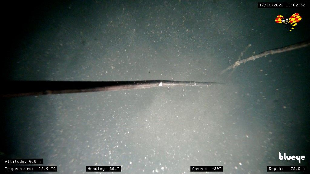 Expressen on the site where an explosion occurred and damaged the gas pipeline Nord Stream 1 earlier this month. Baltic Sea, Sweden, 17 October, 2022 
Photo: Trond Larsen / Expressen / Blue Eye Robotics / TT  Code 75075
*** AFTONBLADET OUT *** Images must not be cropped! The logos for Blue Eye Robotics and Expressen must stay intact. *** (Photo by Trond Larsen/Expressen / TT NYHETSBYRÅN / TT News Agency via AFP)