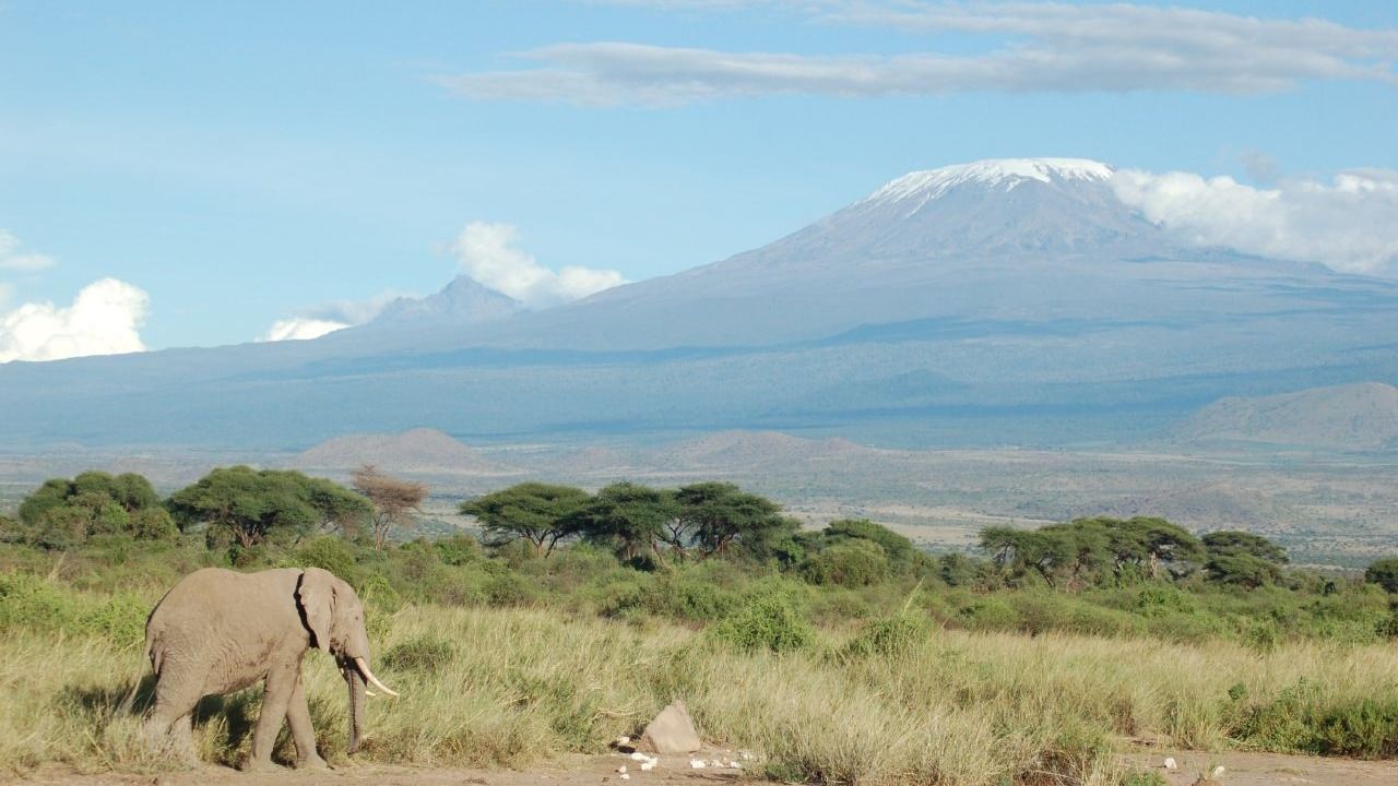 Kvíz kérdést ábrázoló kép.