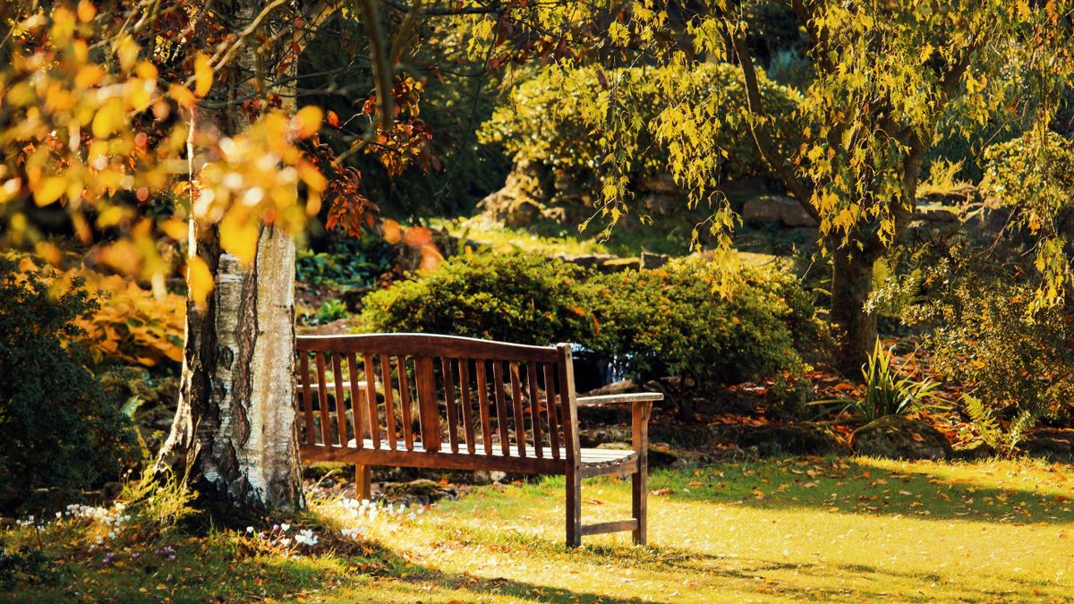 Lerakta a padra a művelődési ház előtt a táskáját a 13 éves fiú, mire legközelebb ránézett, már nem volt ott