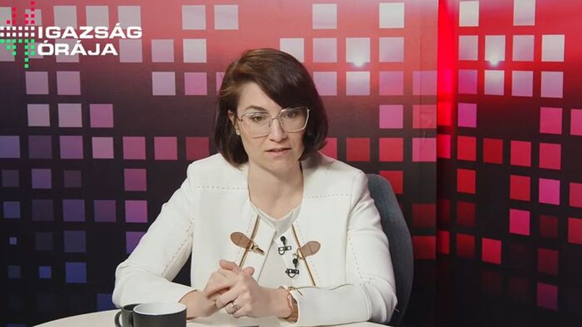 Attempt to Corner Slovakia and Hungary—Tisza Party Joined the Attack + Video