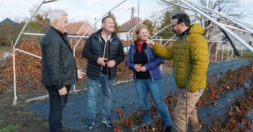 Gianni és Miki, chili