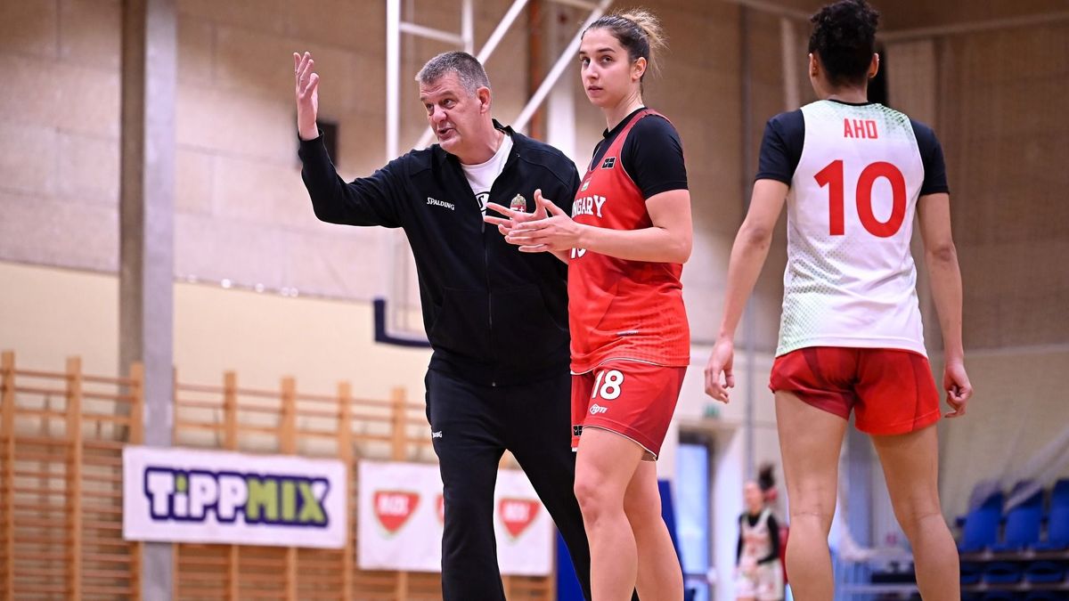 A magyar válogatott szövetségi kapitánya, Völgyi Péter bizakodó. szerinte helyt fog állni a csapata a vb-selejtezőkön.