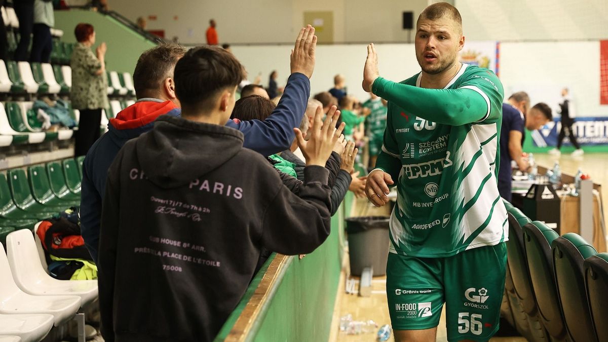 Kerekesszékben hagyta el a pályát a Győr kézilabdázója + videó
