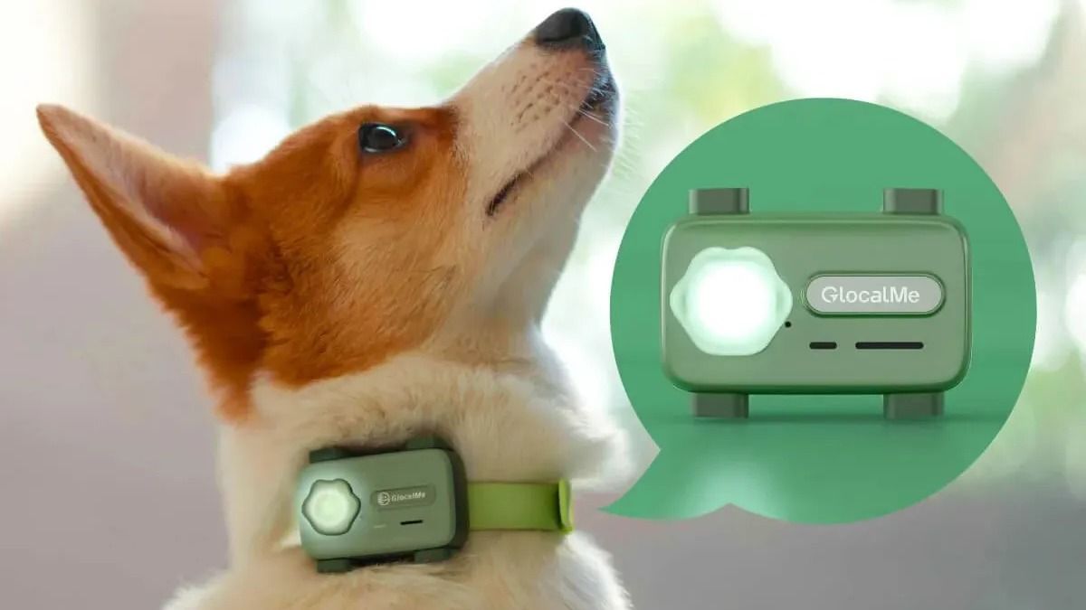 A kütyü, amire vágytunk? Itt a világ első állati okostelefonja