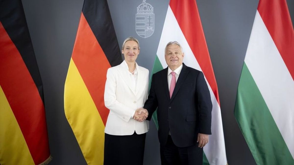 Az AfD vezetője reagált Zelenszkij fenyegetőzésére: „Vízválasztó pillanat”: