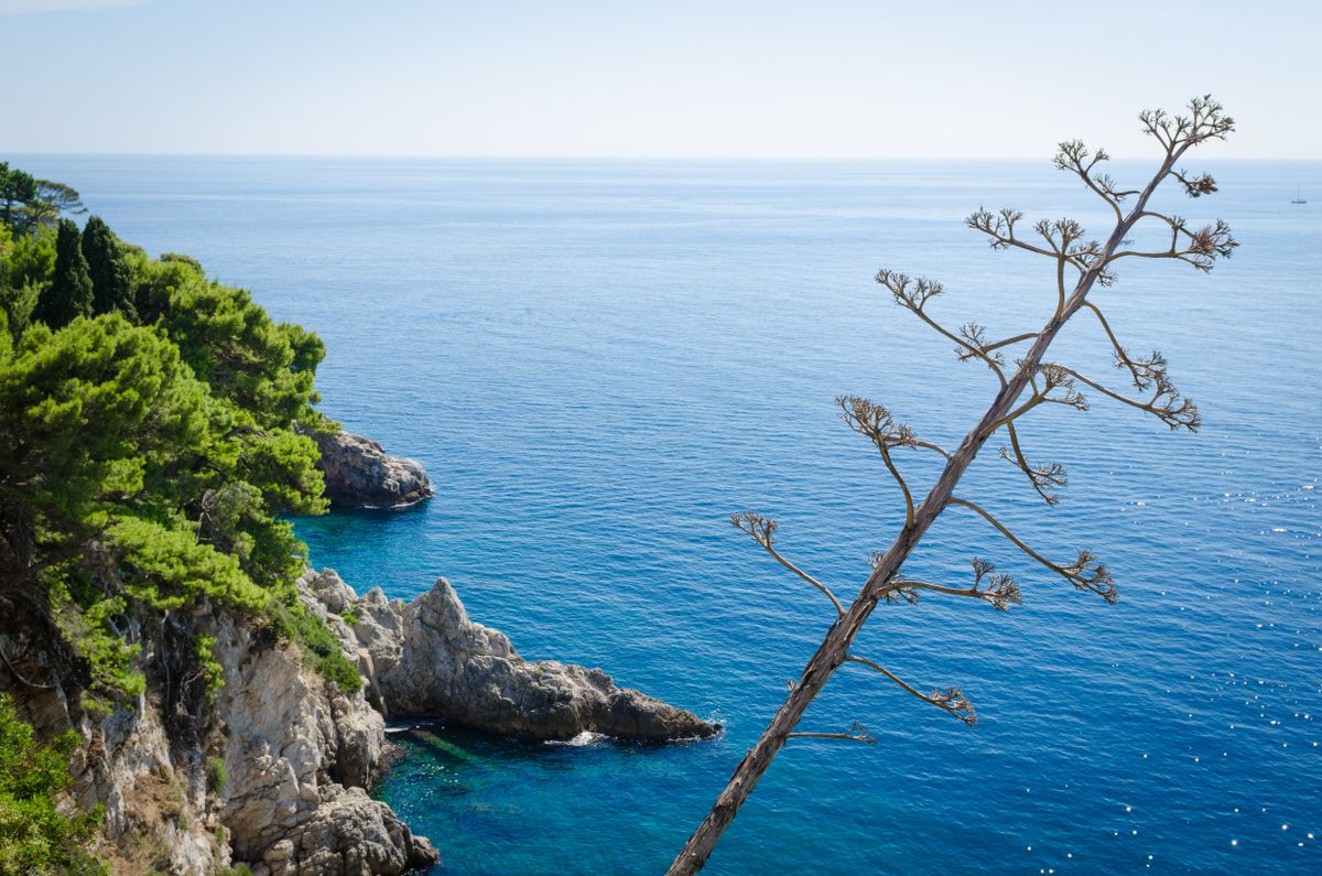 View of the Adriatic sea from above with sunshine stars in the water