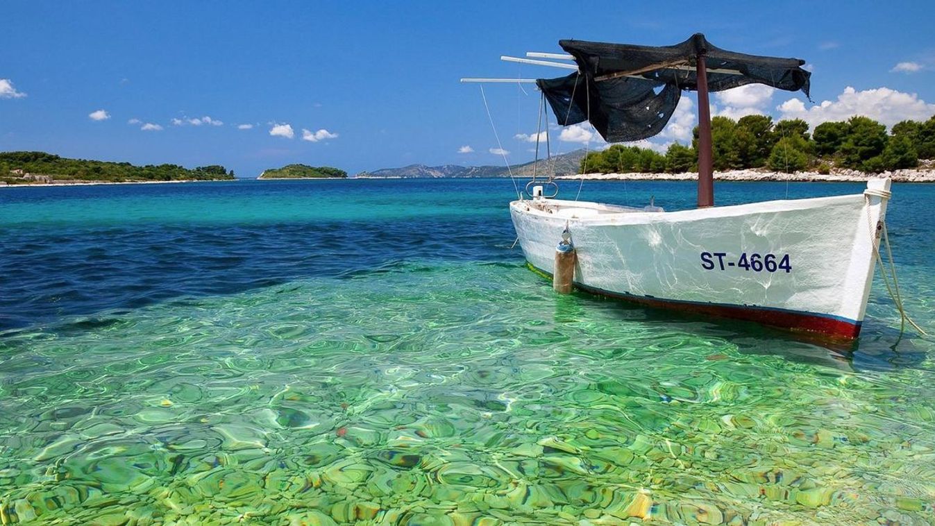 Az Adriai-tengerben jelenleg mintegy 450 halfaj honos