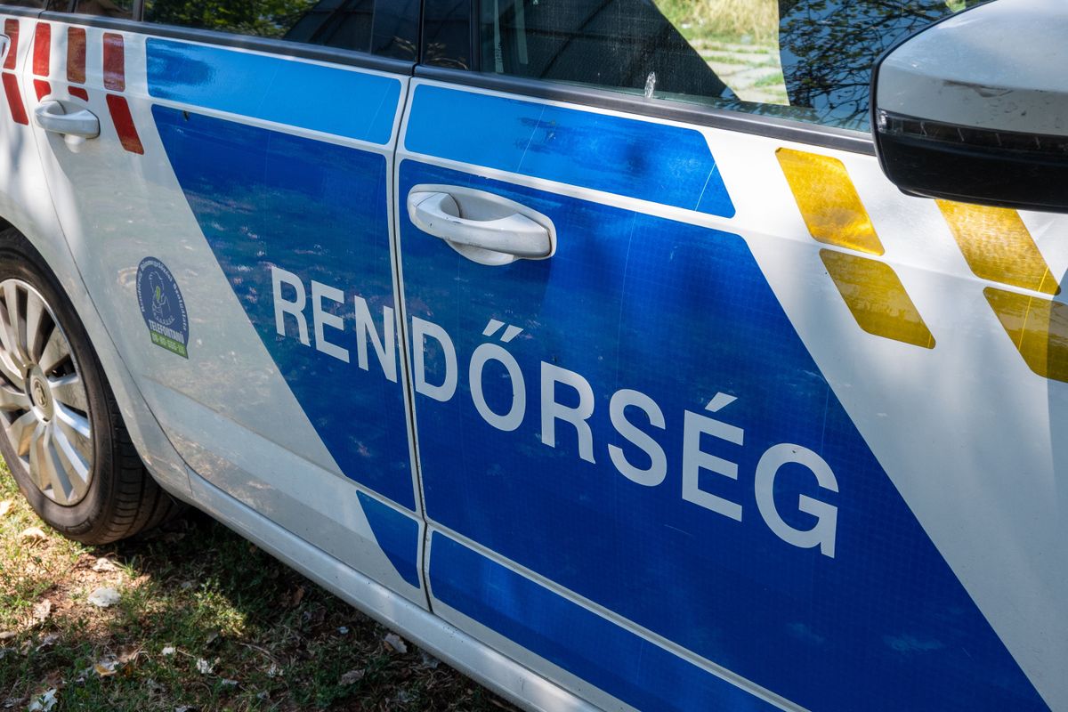 Budapest, Hungary - 11.24.2025 - Hungarian police car lights