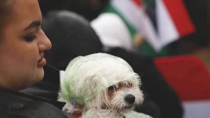 Orbán Viktor országjárása Pécel