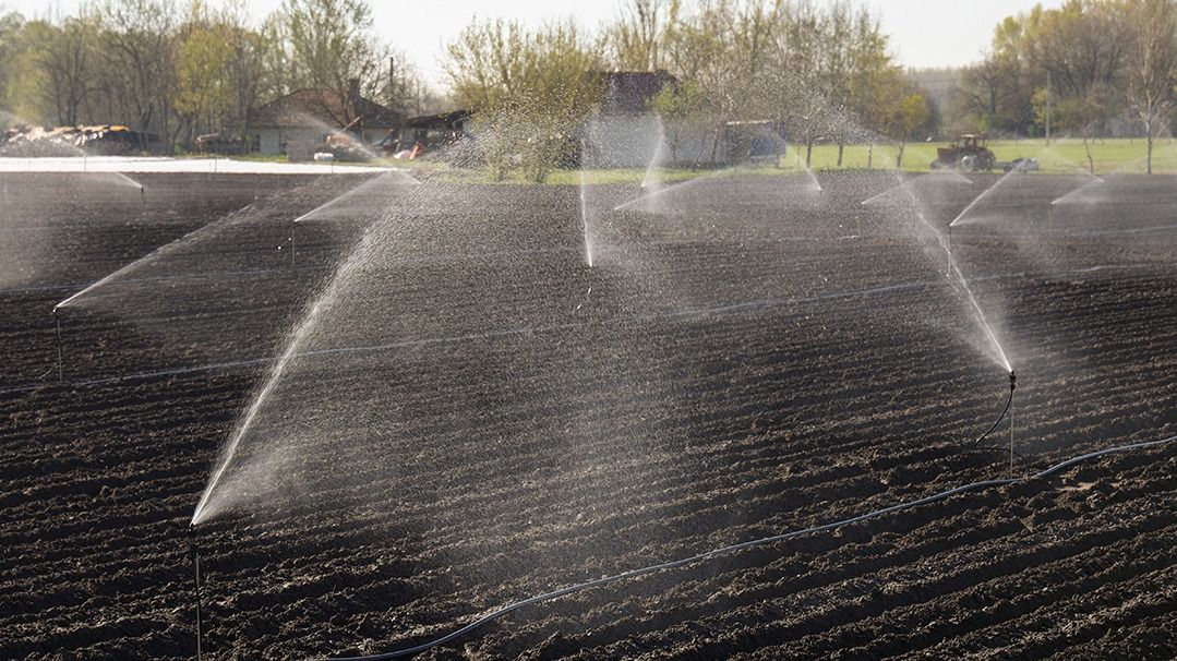 20250404 Mórahalom Szántóföldi öntözés a város határában.Fotó: Karnok Csaba KCDélmagyarország (DM), Brüsszel