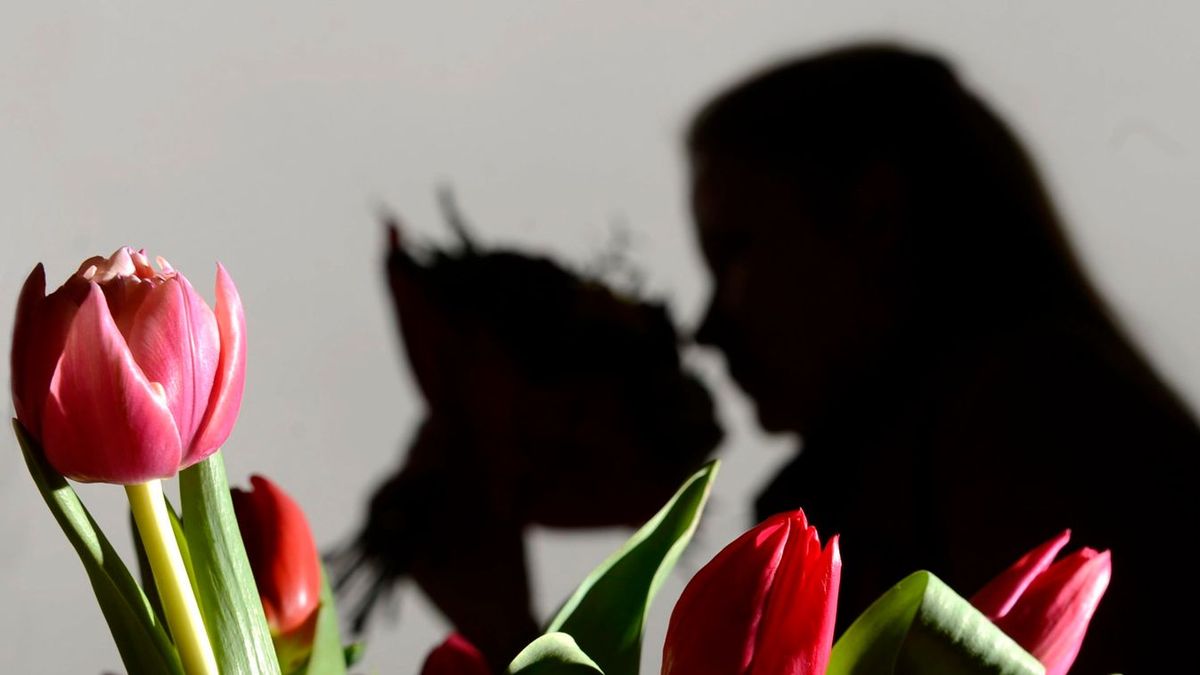 Az Nemzeti Adó- és Vámhivatal is készül a nőnapra