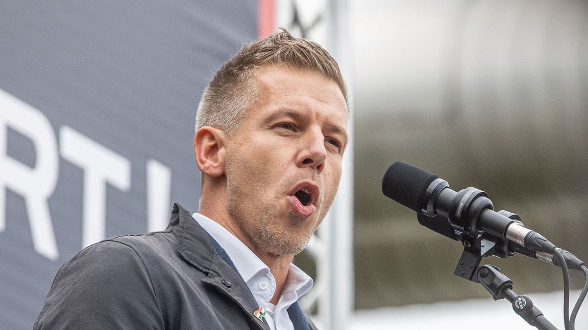 Magyar Péter, Fodor Gábor