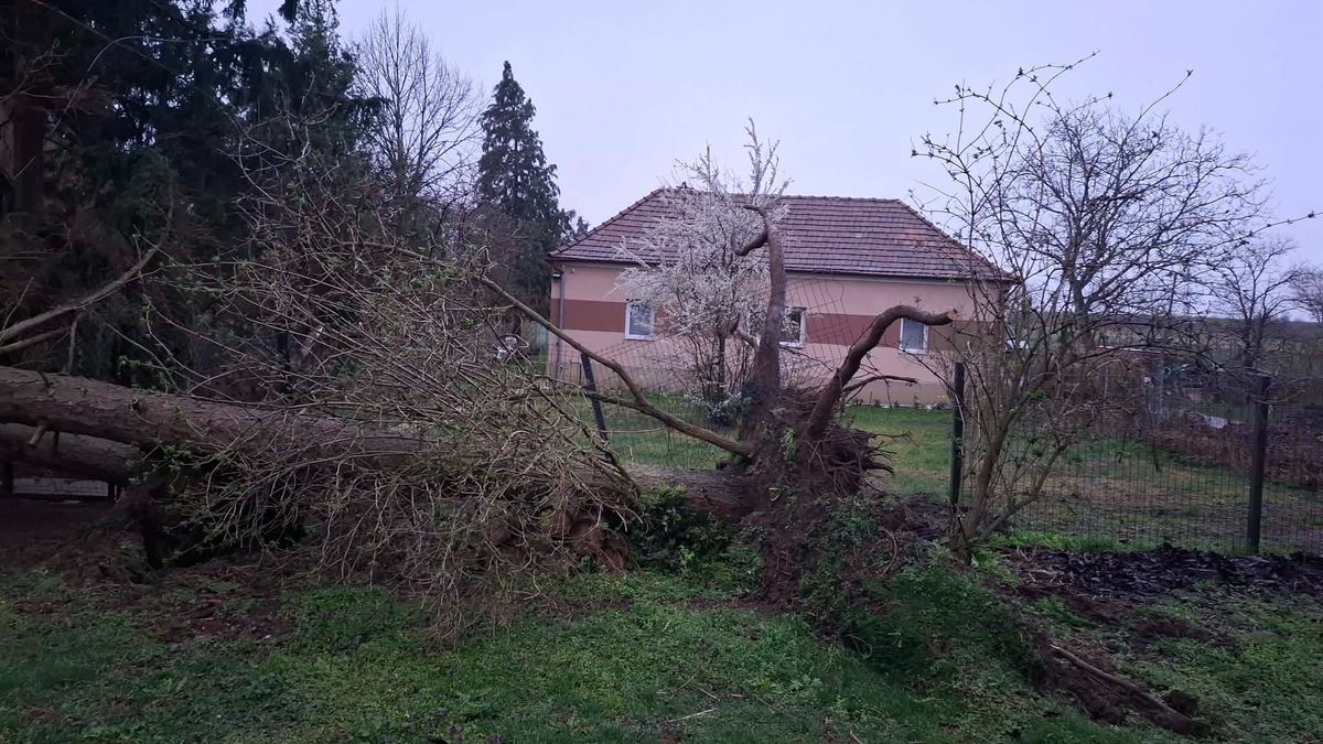 Még ma is nagyon durván tombol a vihar Zalában, egyre több a haváriahelyzet