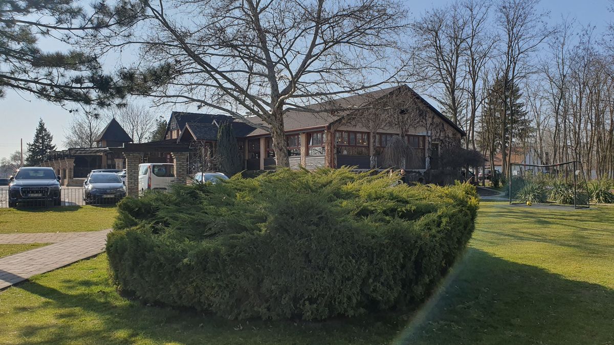 Másfél évtizede a fősodor csúcsát képviseli a kecskeméti Fekete gólya

