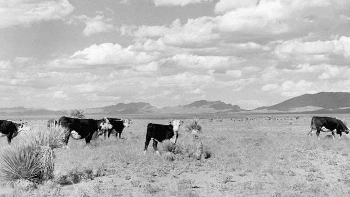 A Roswell incidens helyszíne archív fotón