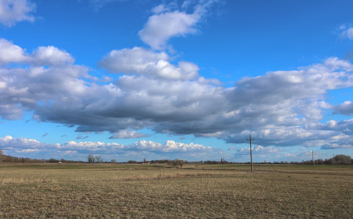 20260224 Ásotthalom 
Kezdődik a tavasz a Csodaréten. 
Fotó: Karnok Csaba KC
Délmagyarország (DM)