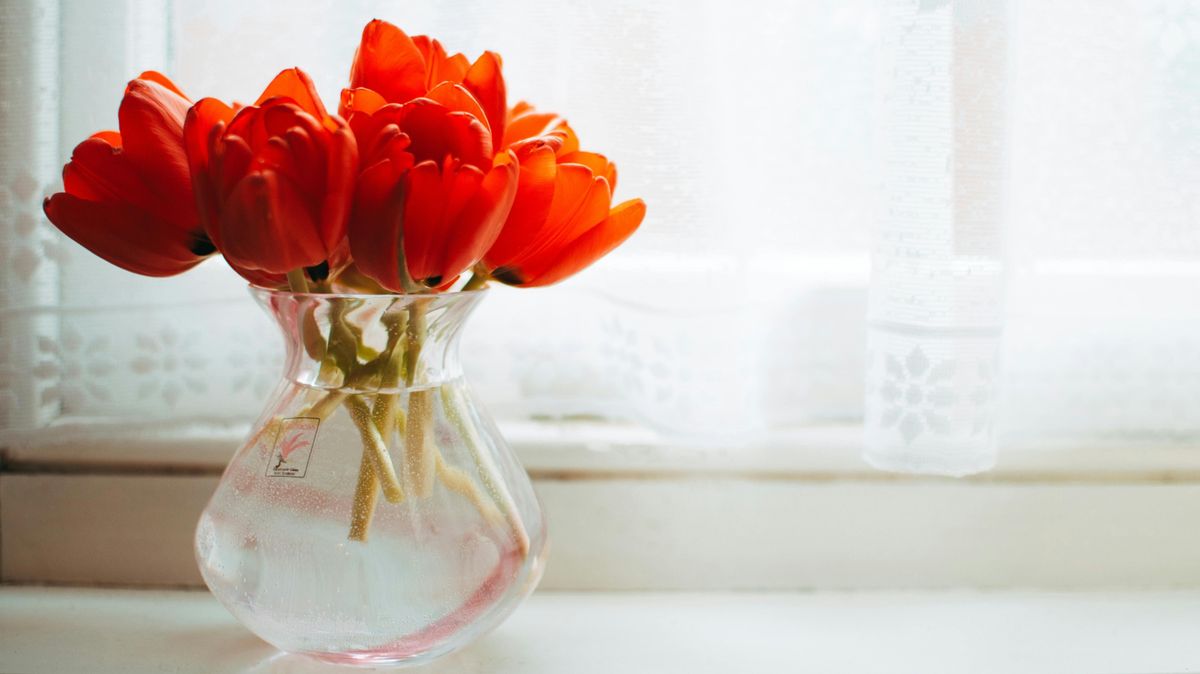 Nem csak dekoráció: így költözhet be a tavasz az otthonunkba