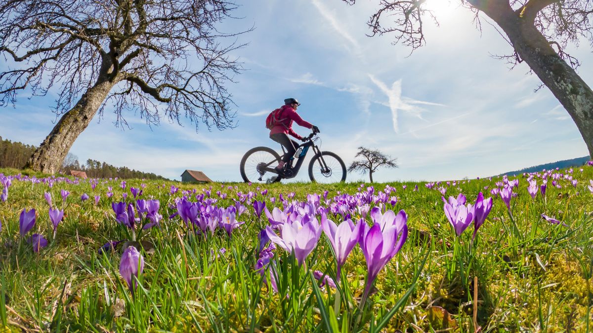 Zavartalanul napos idő vár ránk pénteken