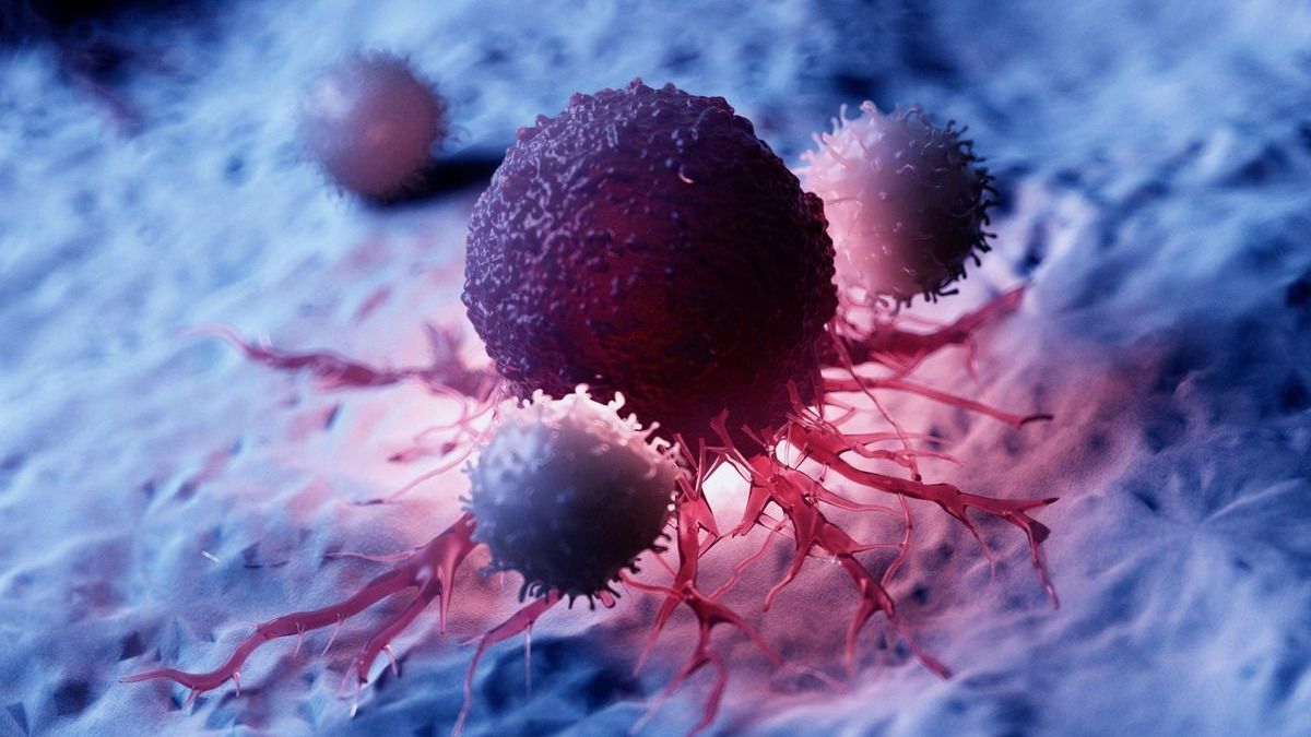 Forradalmi áttörést hozhat a rák elleni küzdelemben egy baktérium