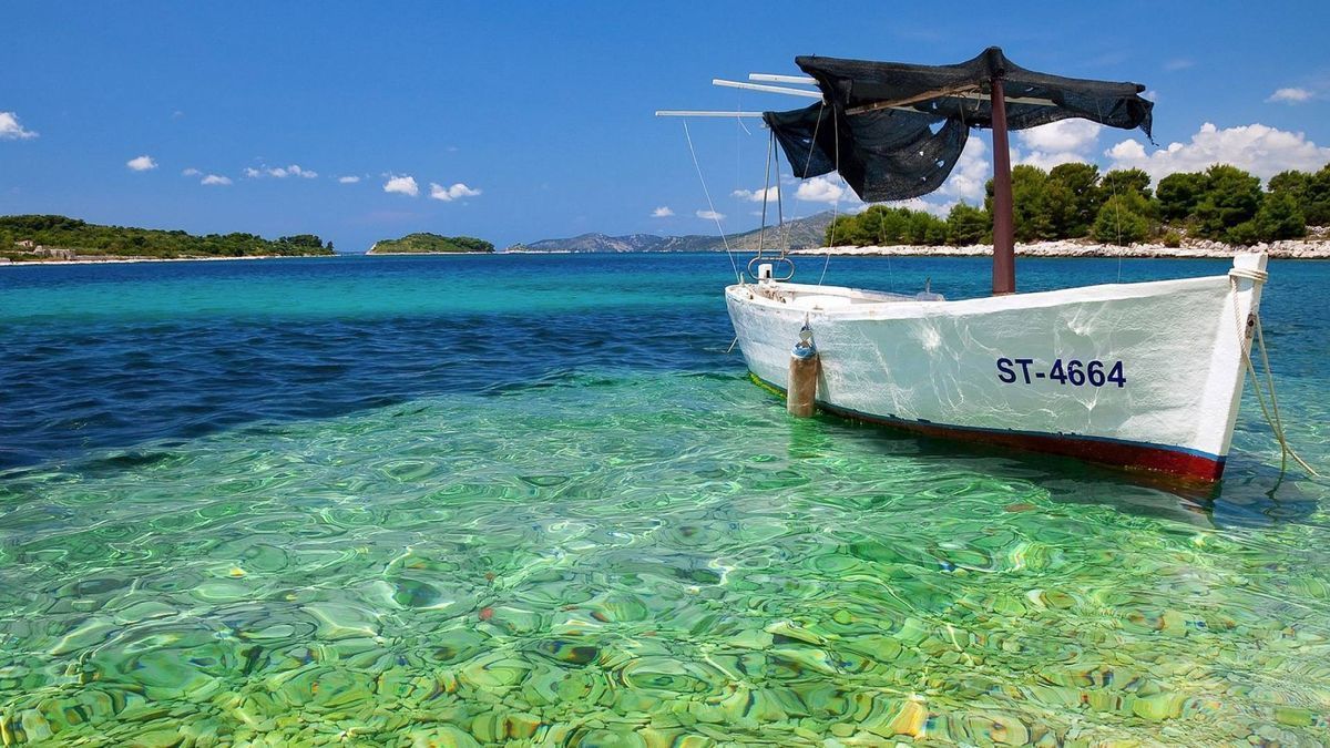 Adriai-tenger: soha nem látott trópusi halfaj bukkant fel a Kvarner-öbölben