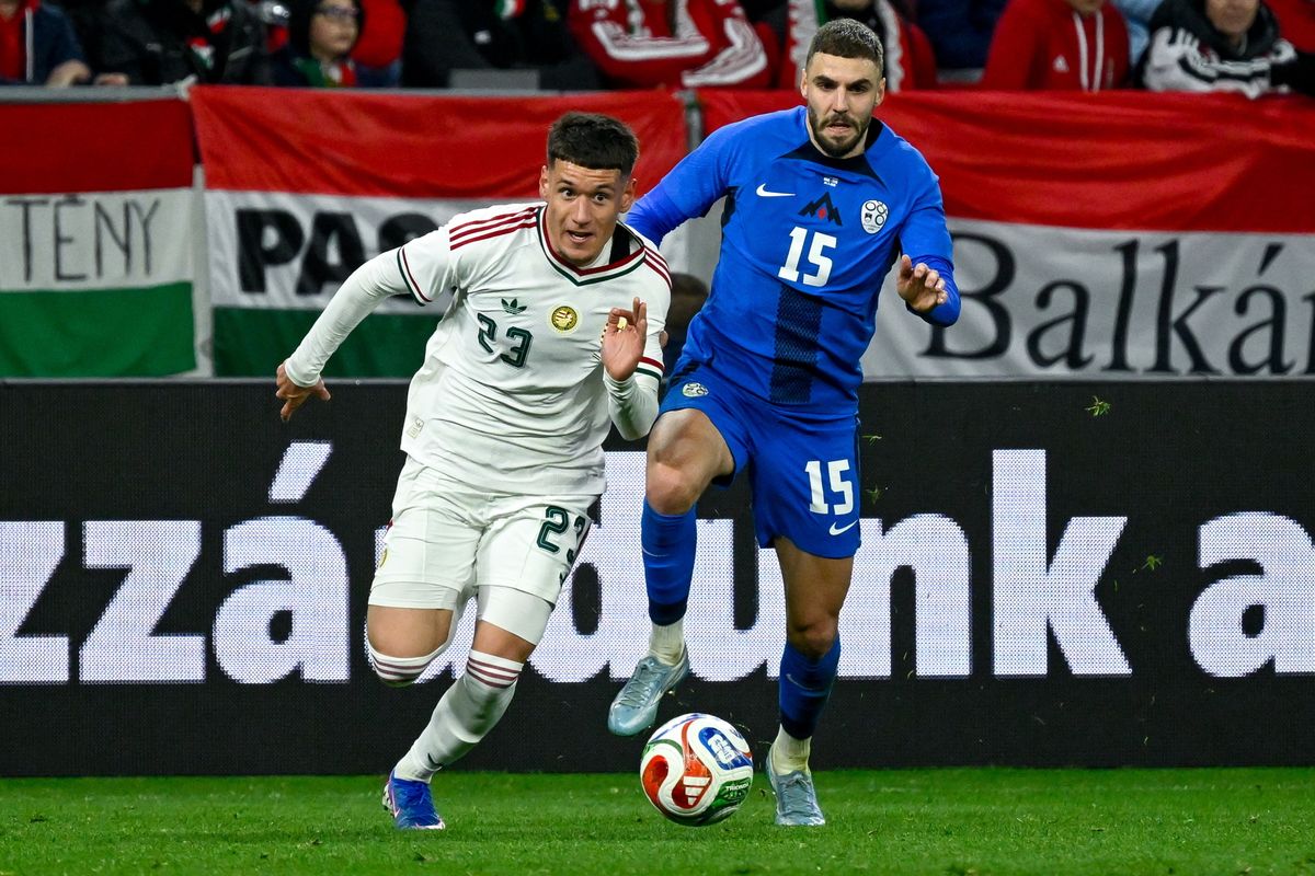 Redzic Damir bejátszotta magát a magyar labdarúgó-válogatott kezdőcsapatába