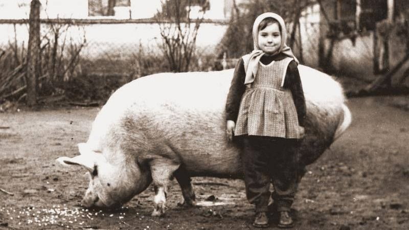 Kvíz kérdést ábrázoló kép.