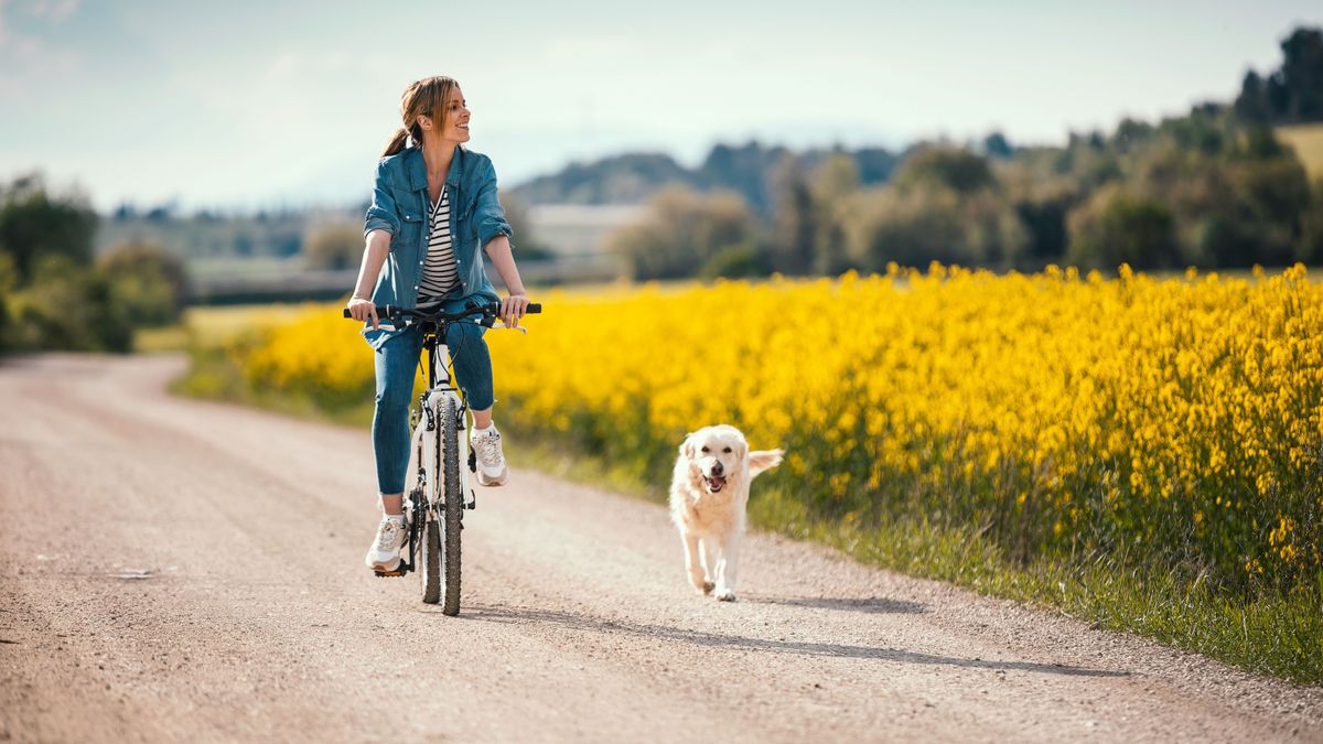 Még nem élvezhetjük ki teljesen a tavaszt, egyhamar nem csillapodik a szél + videó