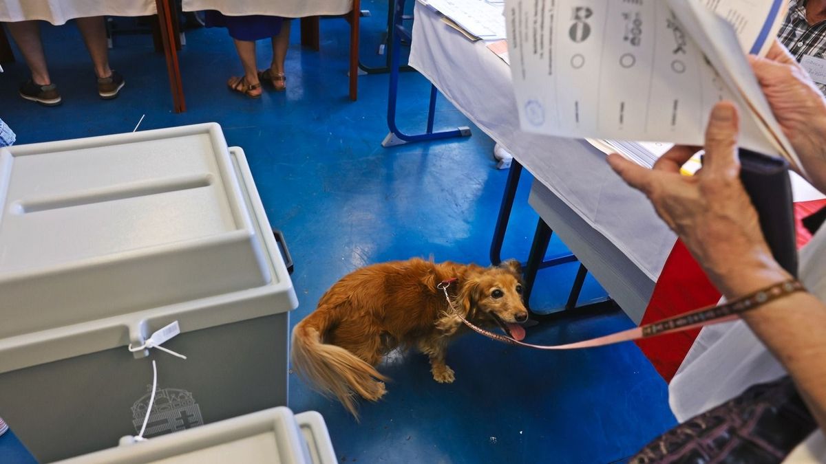 Mi történik, ha egyik pártnak sem lesz abszolút többsége?